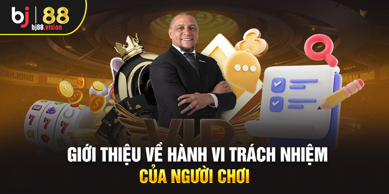 Giới thiệu về hành vi trách nhiệm của người chơi