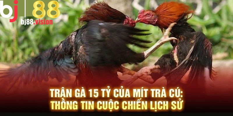 Sơ lược trận gà 15 tỷ của Mít Trà Cú