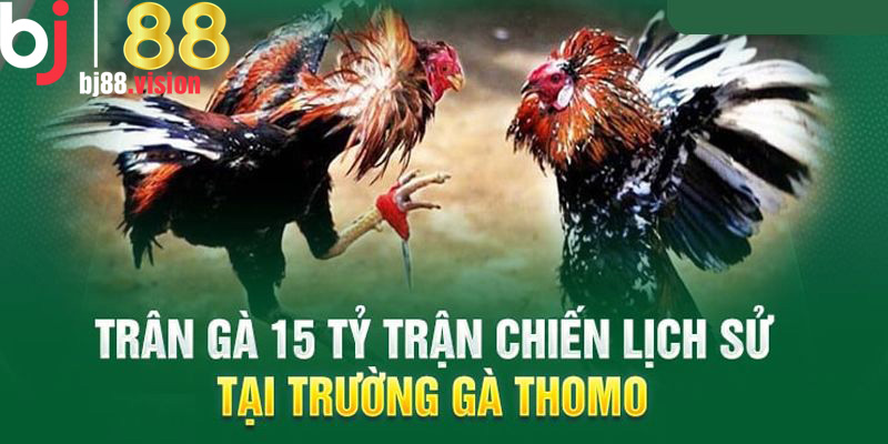 Địa chỉ tổ chức trận gà 15 tỷ của Mít Trà Cú